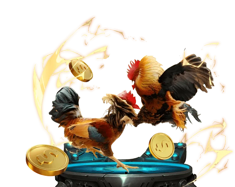 Mẹo chơi đá gà luôn thắng từ cao thủ hipclub chính thức